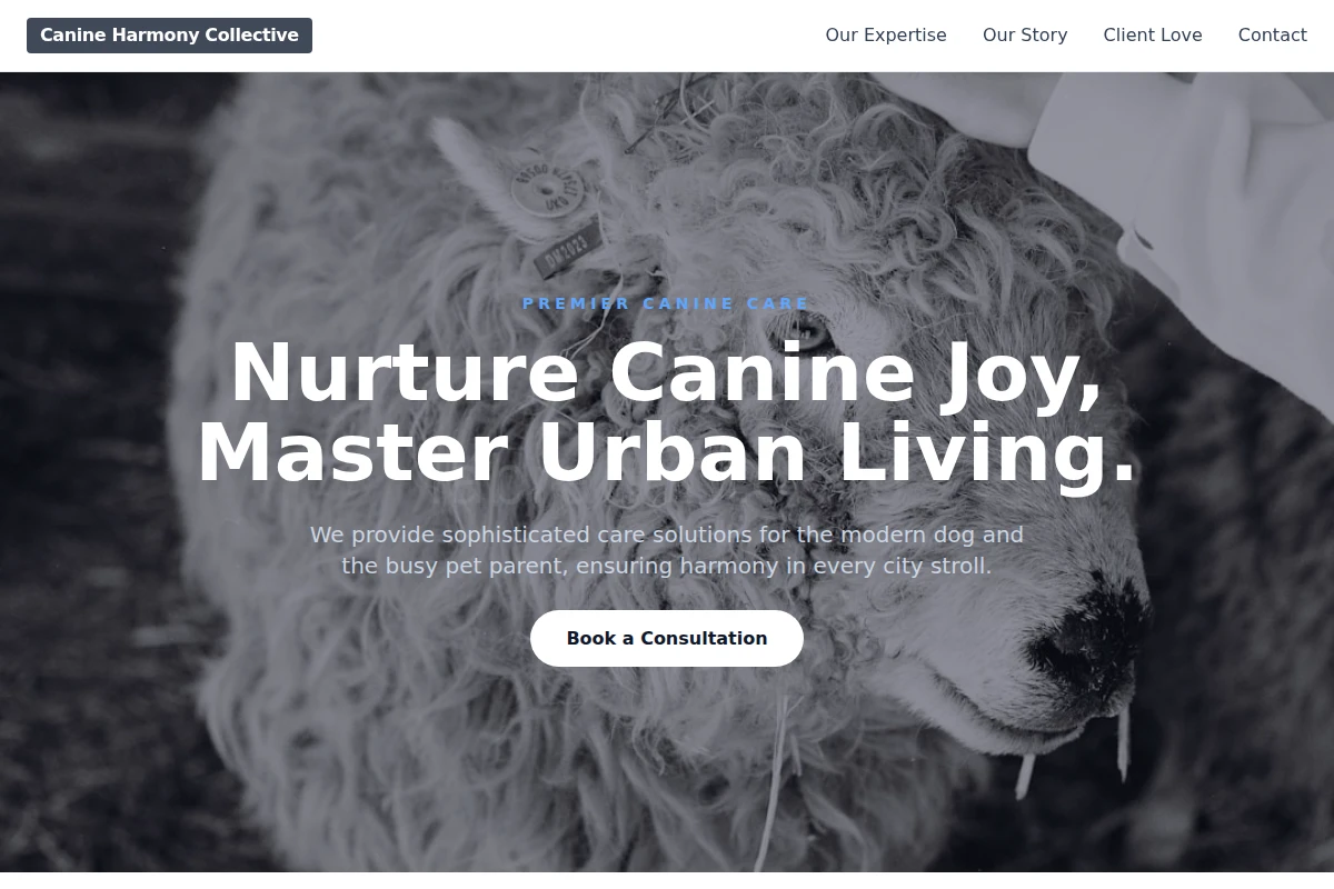 Chase Animal Care
