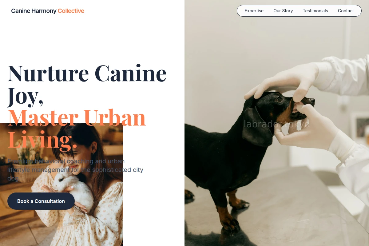 Chase Animal Care