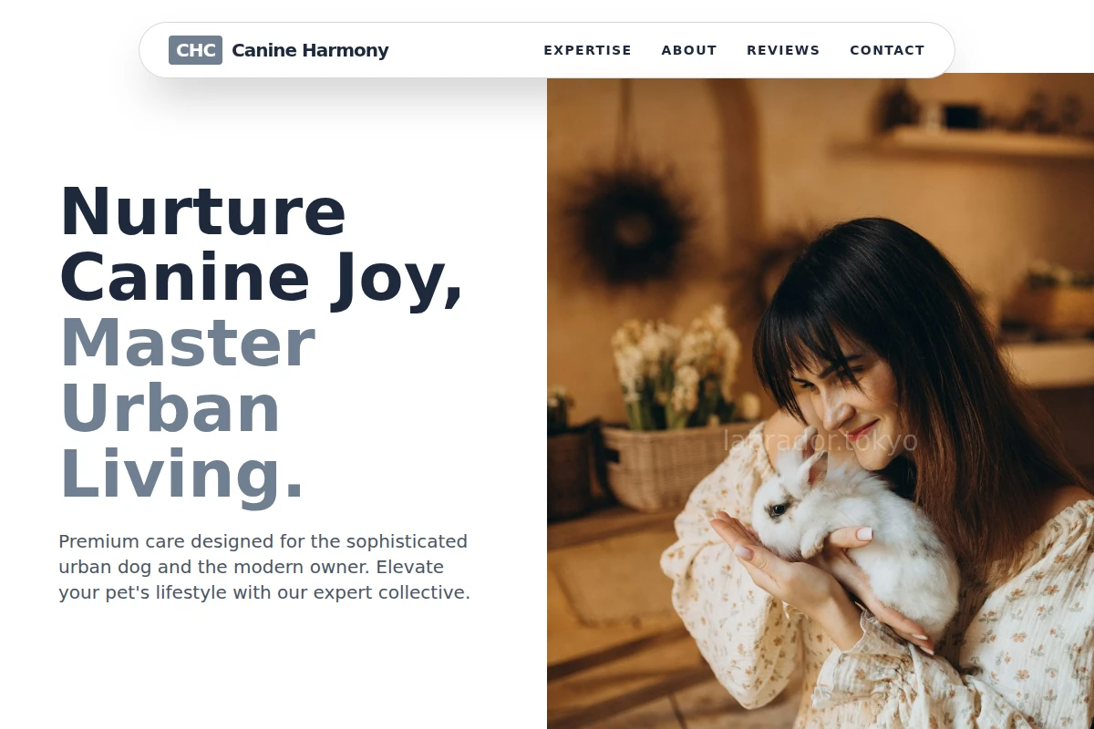 Play Animal Care