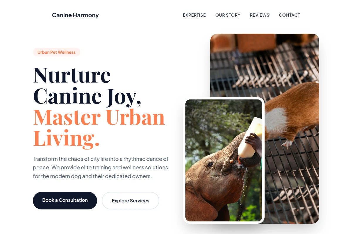 Calm Animal Care