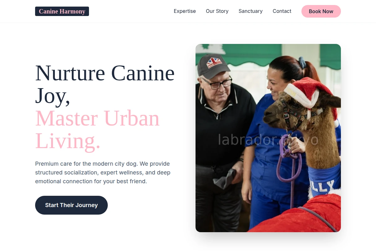 animal-care