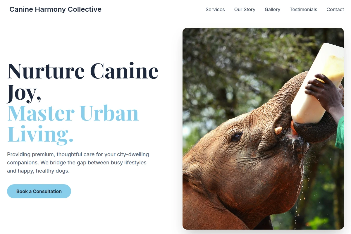 Buddy Animal Care