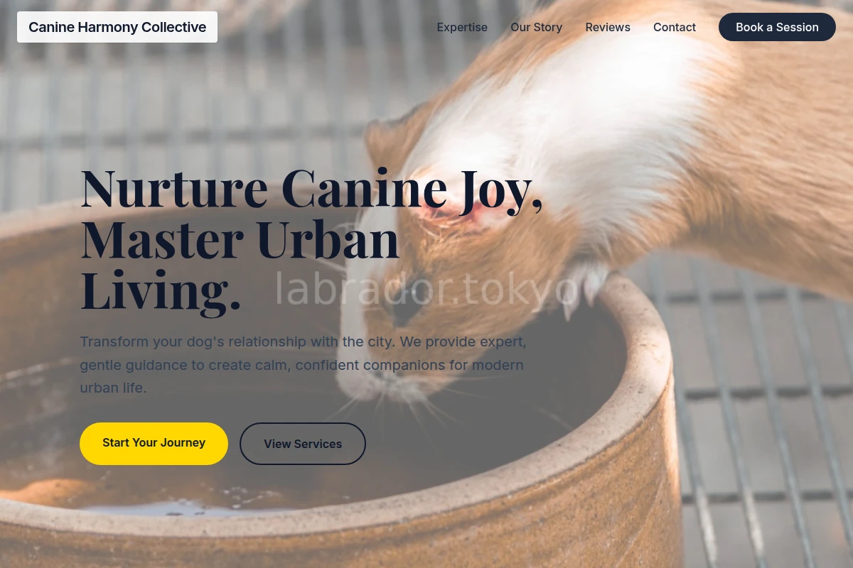 Calm Animal Care