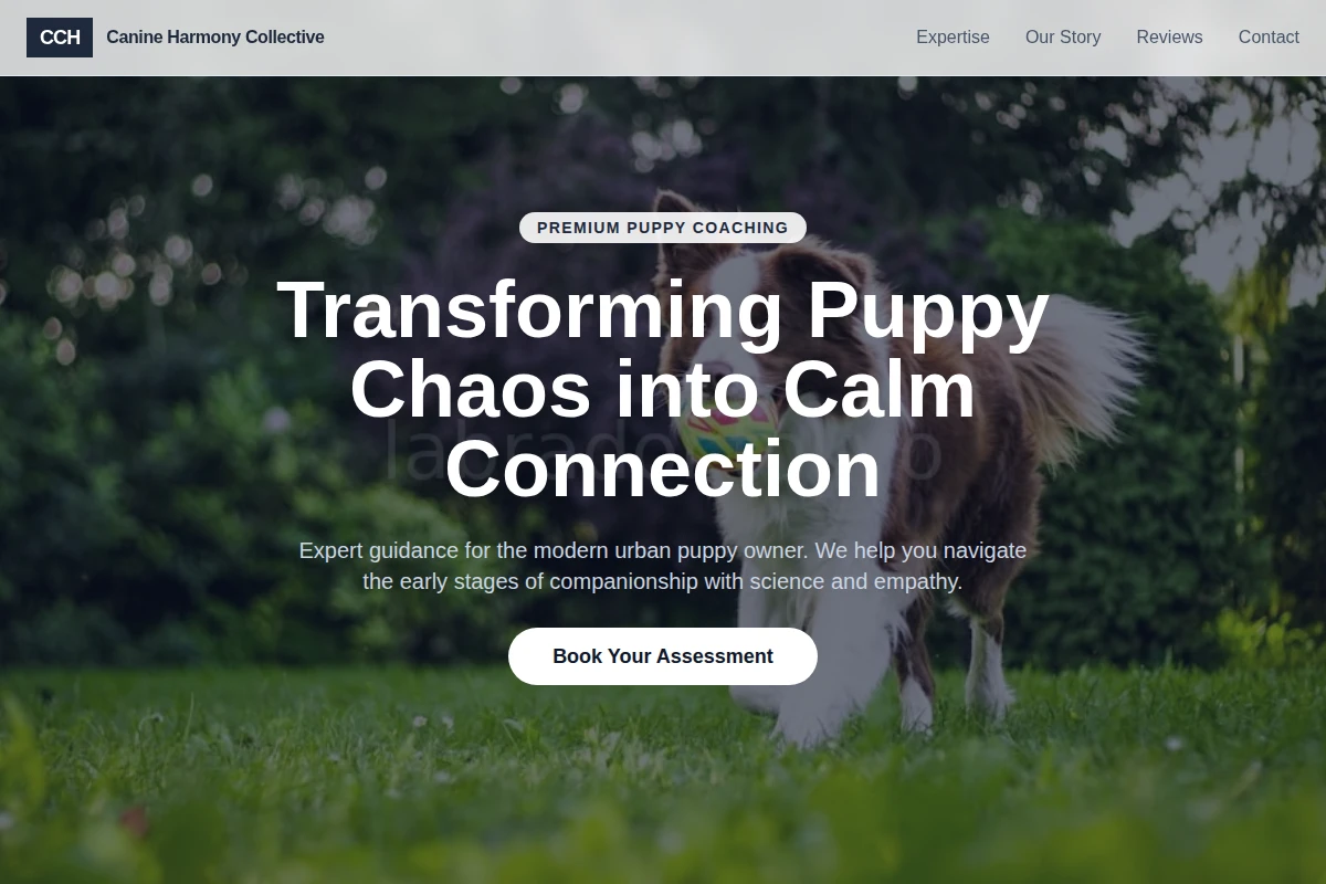 Puppy Dog Training
