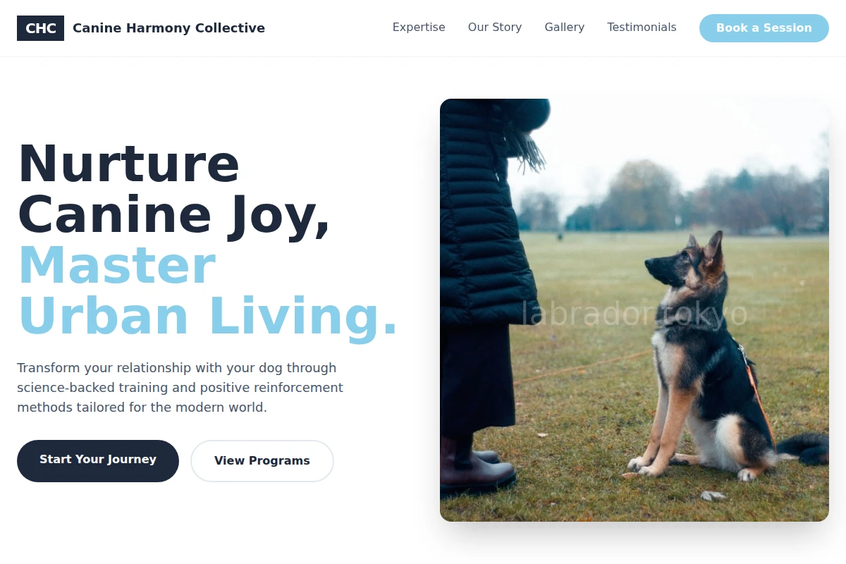 dog-training