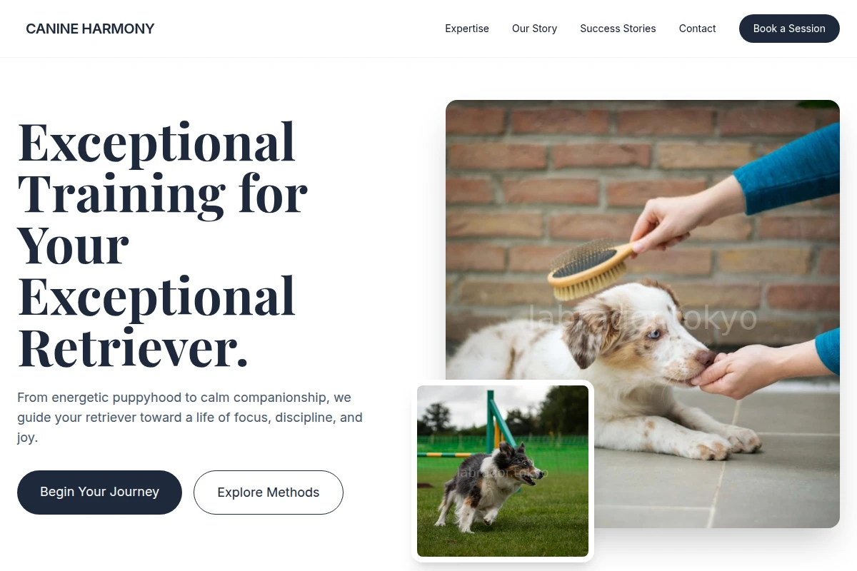 Retriever Dog Training