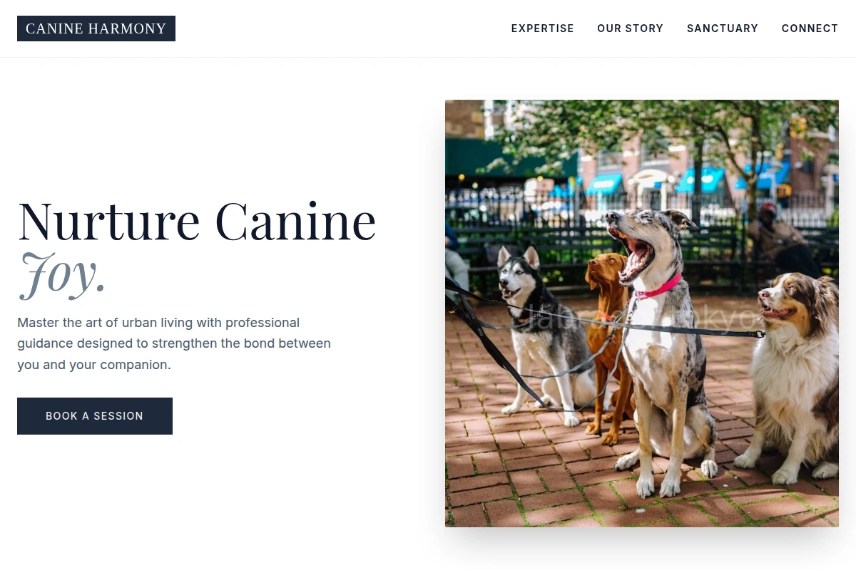 dog-training