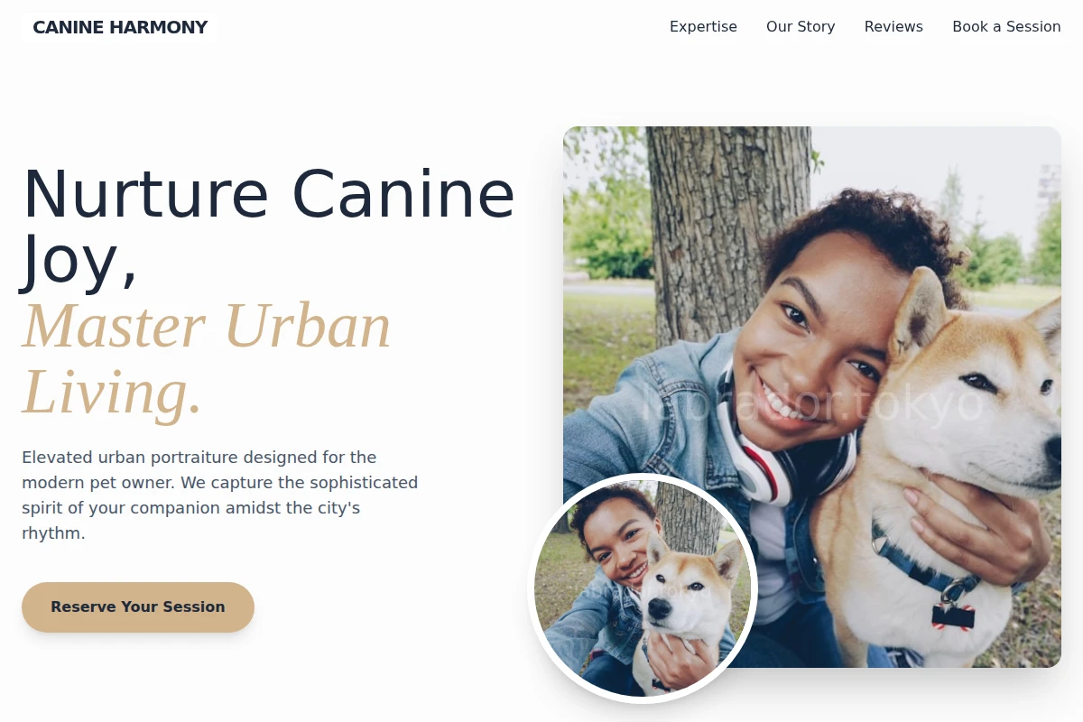 Urban Pet Photography