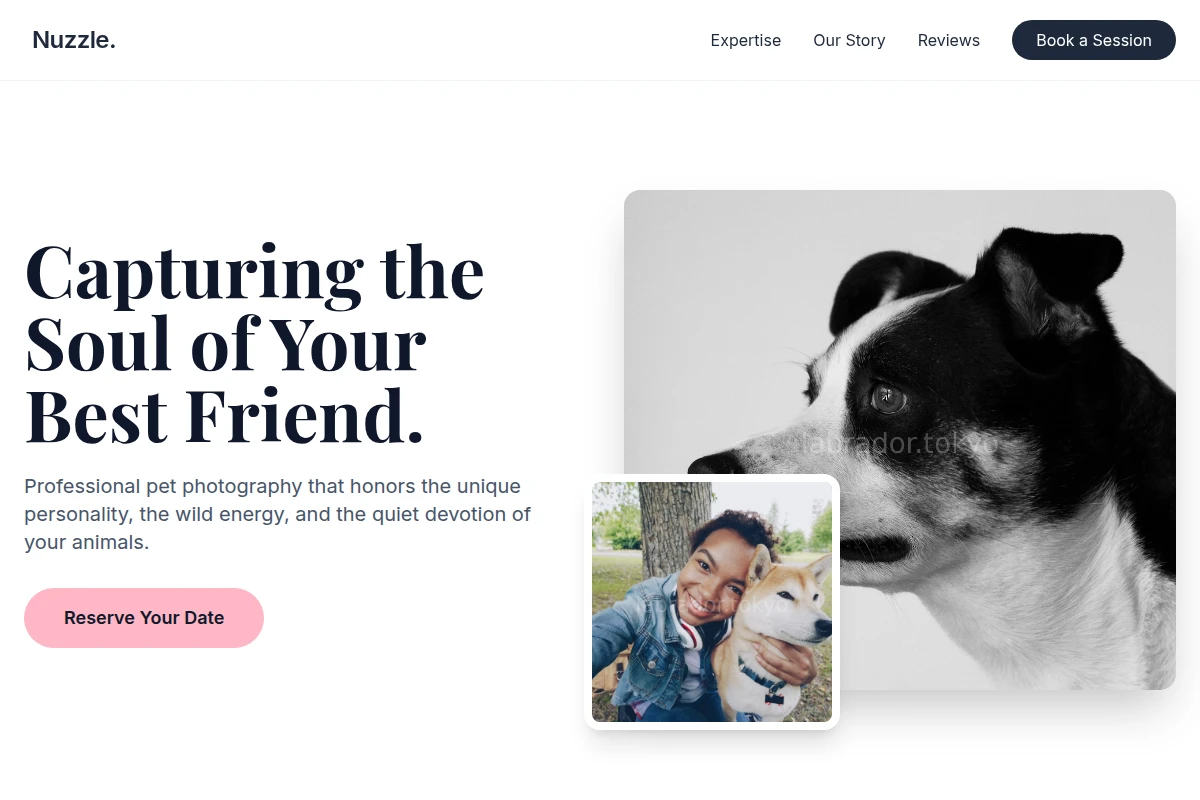 Nuzzle Pet Photography