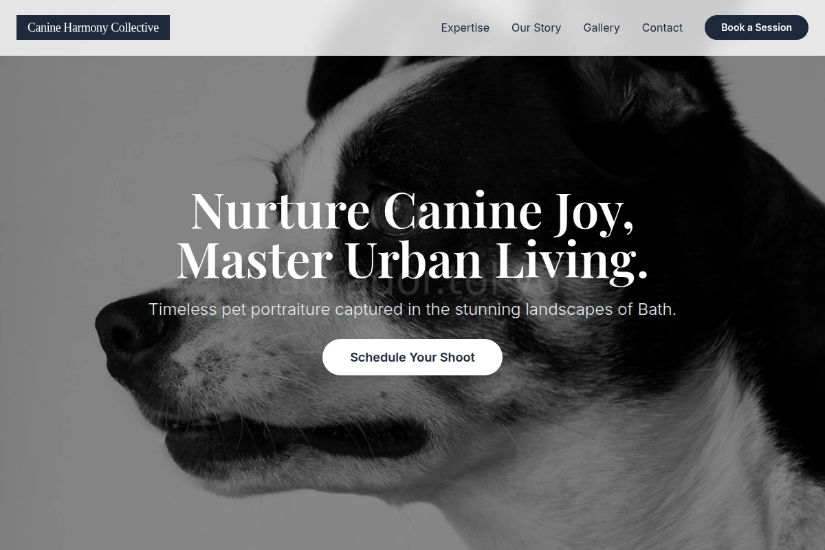 pet-photography