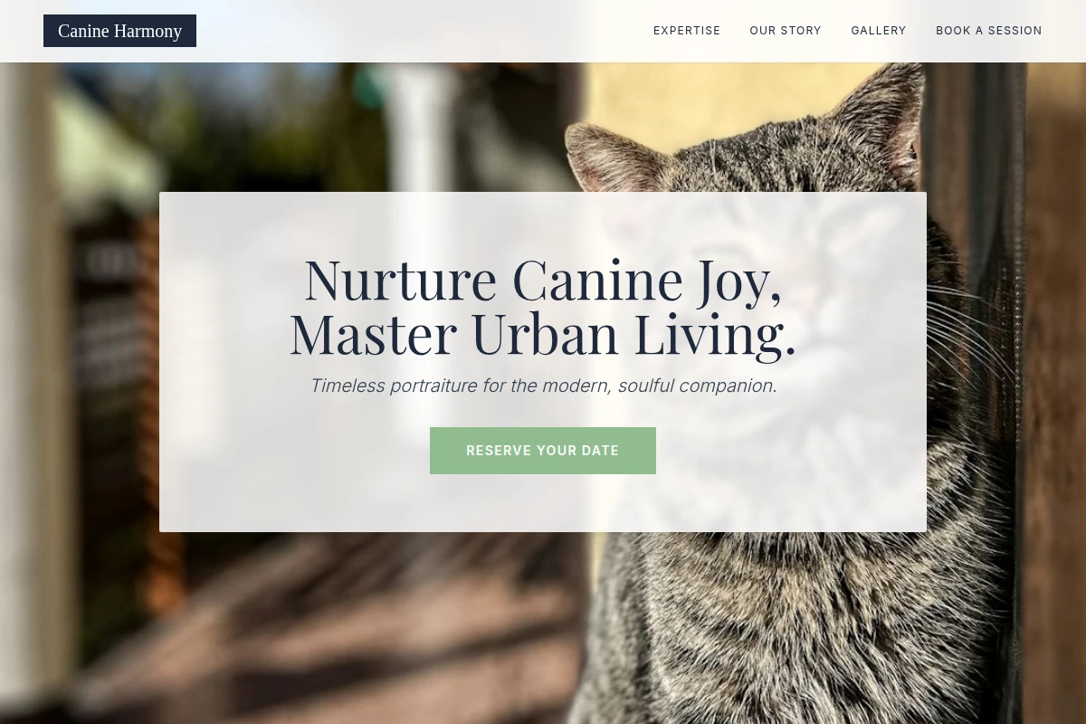 Pack Pet Photography
