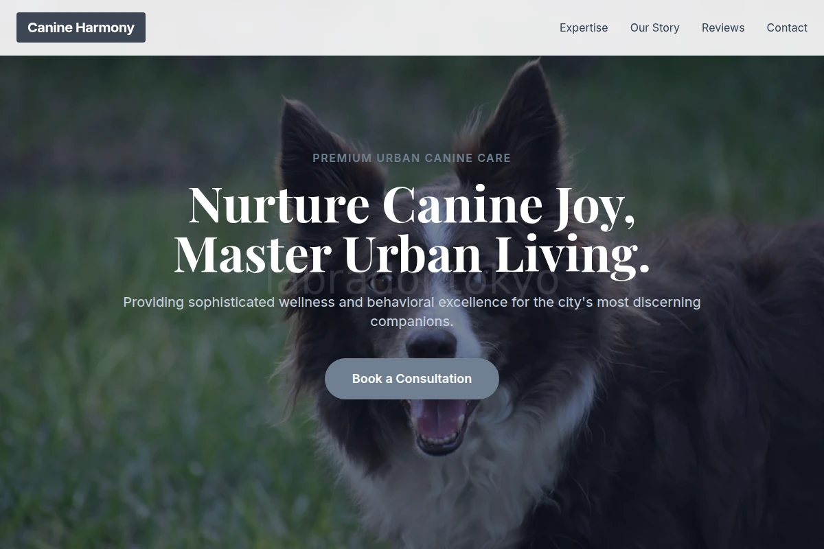 Leash Pet Services
